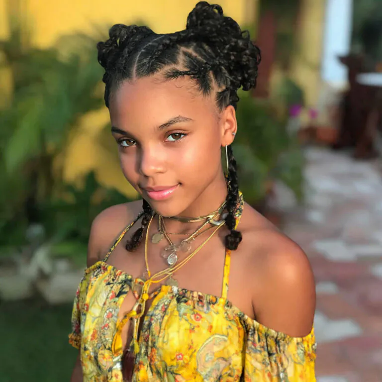 natural braided hairstyles
